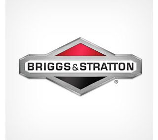 Briggs & Stratton