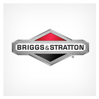 Briggs & Stratton