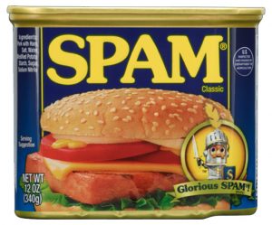 Scatoletta di carne SPAM